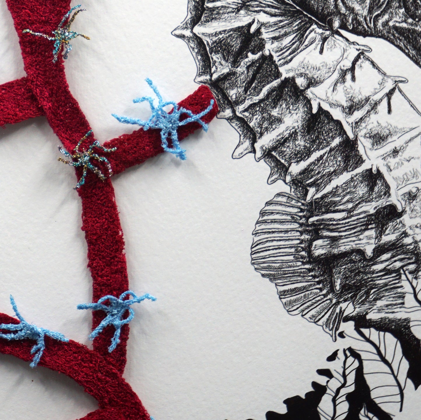 Seahorse and Coral