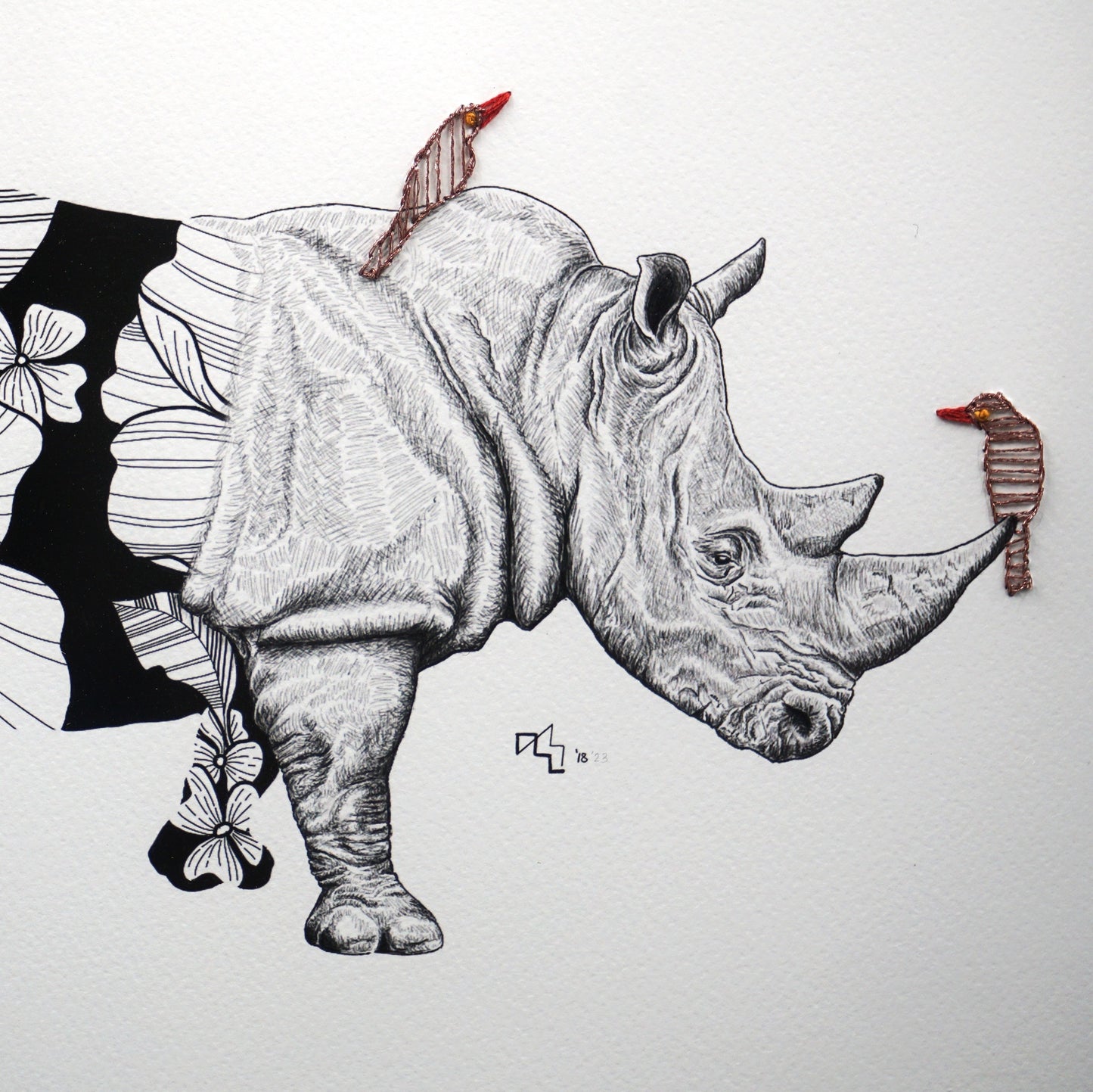 Wild Strings: Rhino