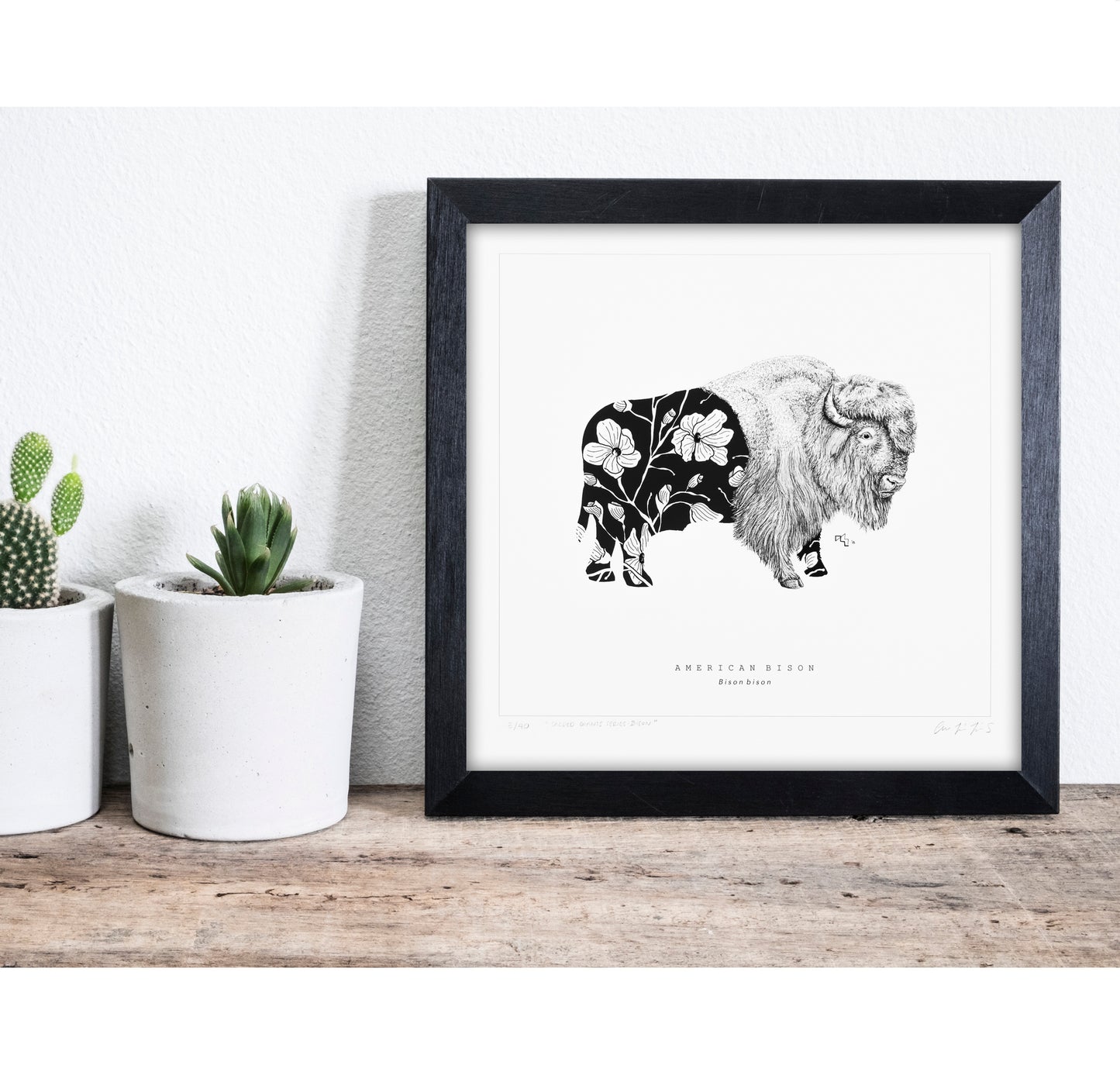 Sacred Giants: Bison (print)