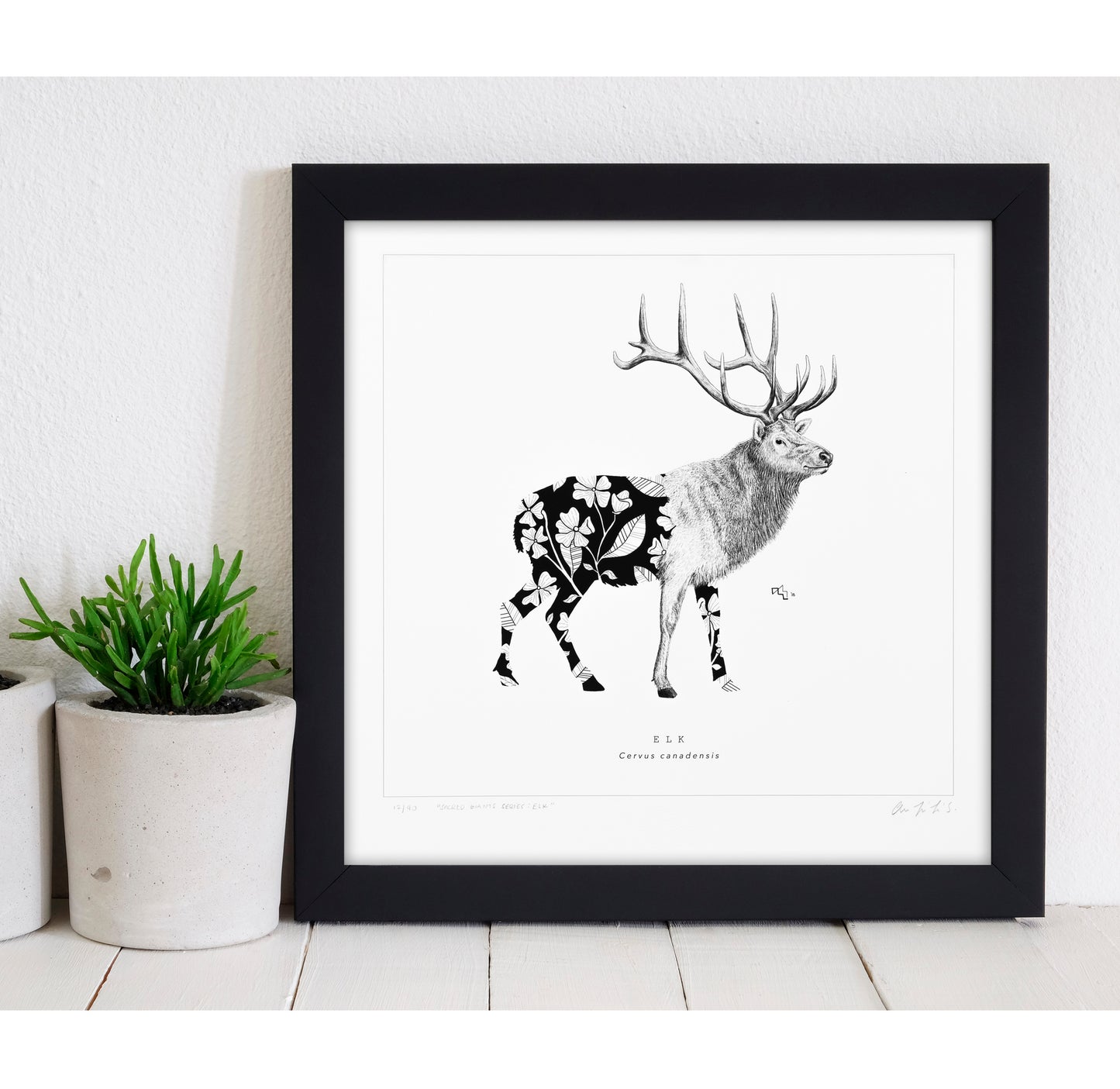 Sacred Giants: Elk (print)