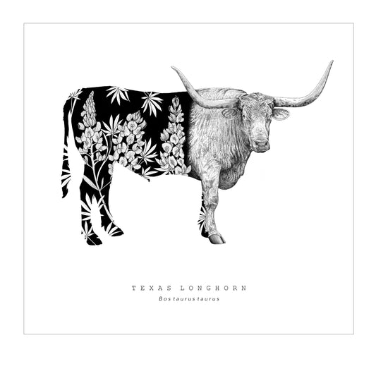 Sacred Giants: Longhorn (print)
