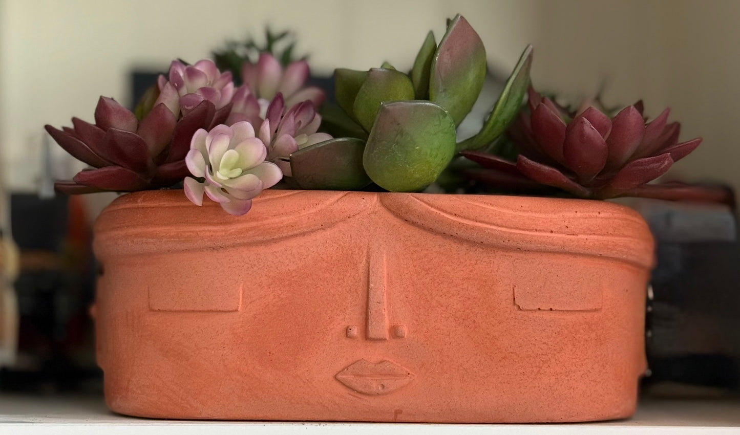 The Ana Planter