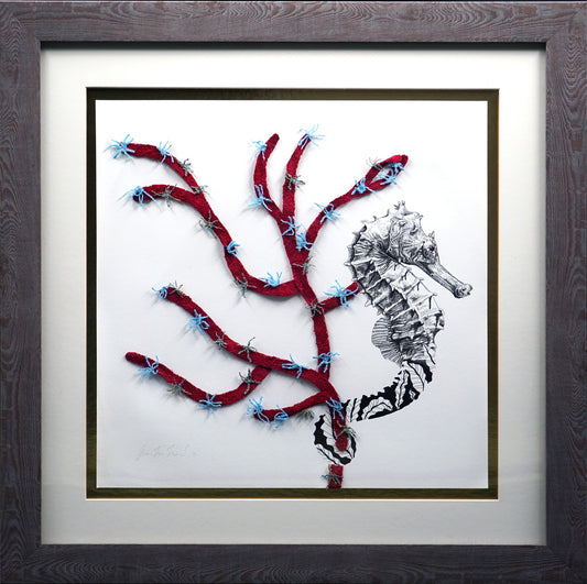 Seahorse and Coral