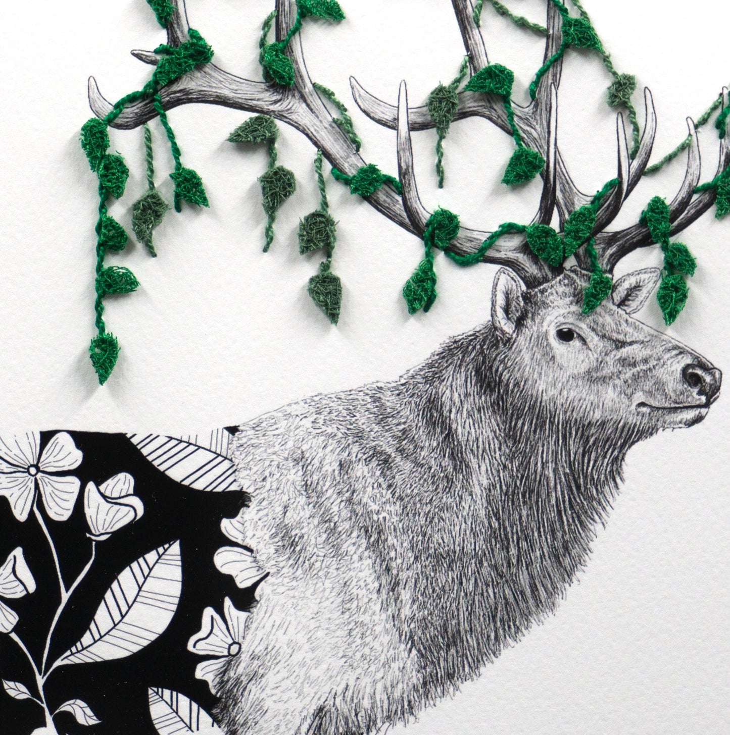 Wild Strings: Elk