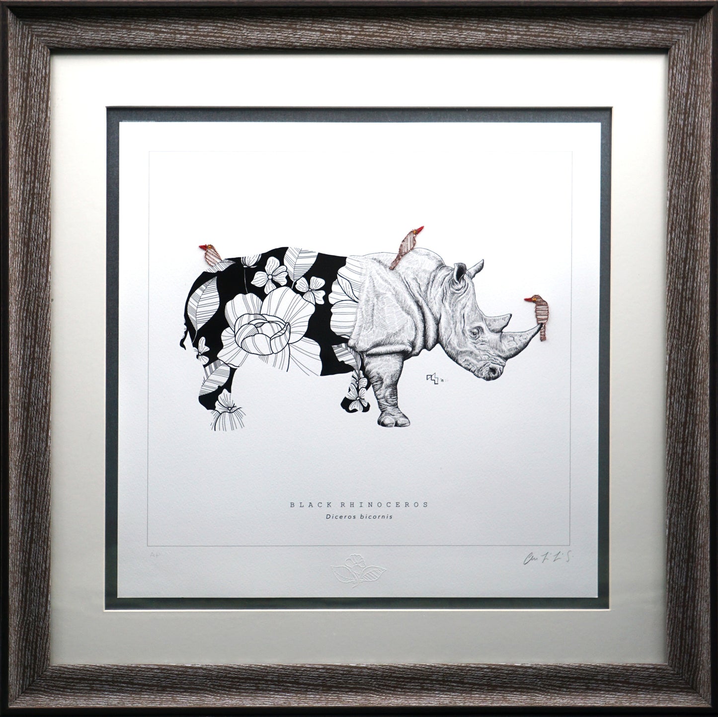 Wild Strings: Rhino