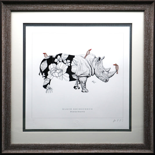 Wild Strings: Rhino
