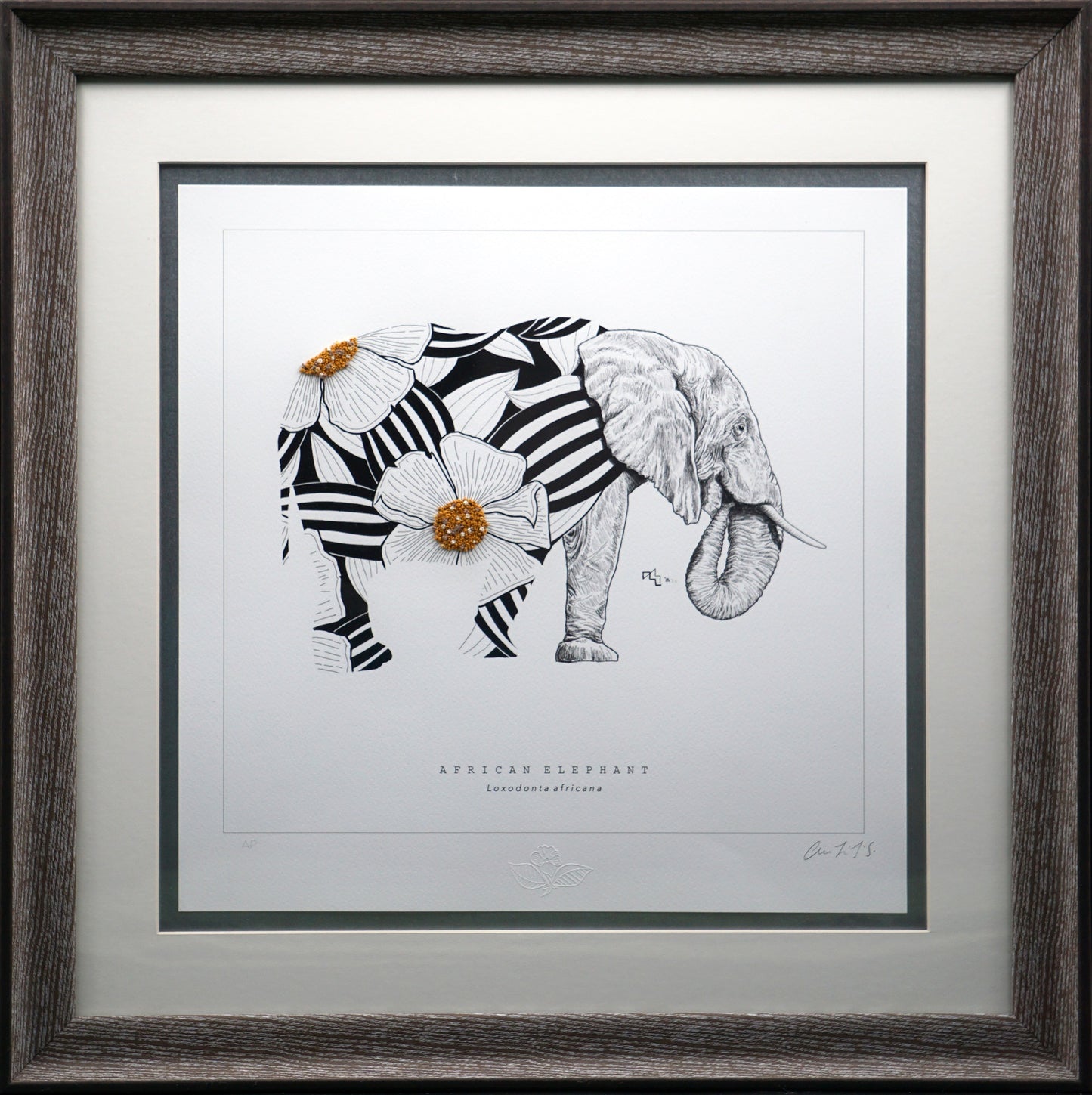 Wild Strings: Elephant