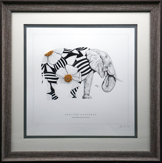 Wild Strings: Elephant