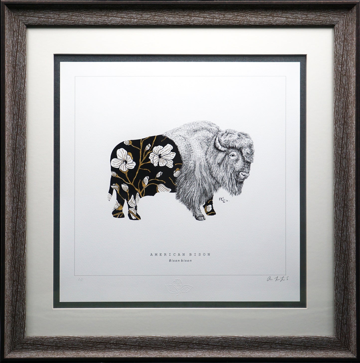 Wild Strings: Bison
