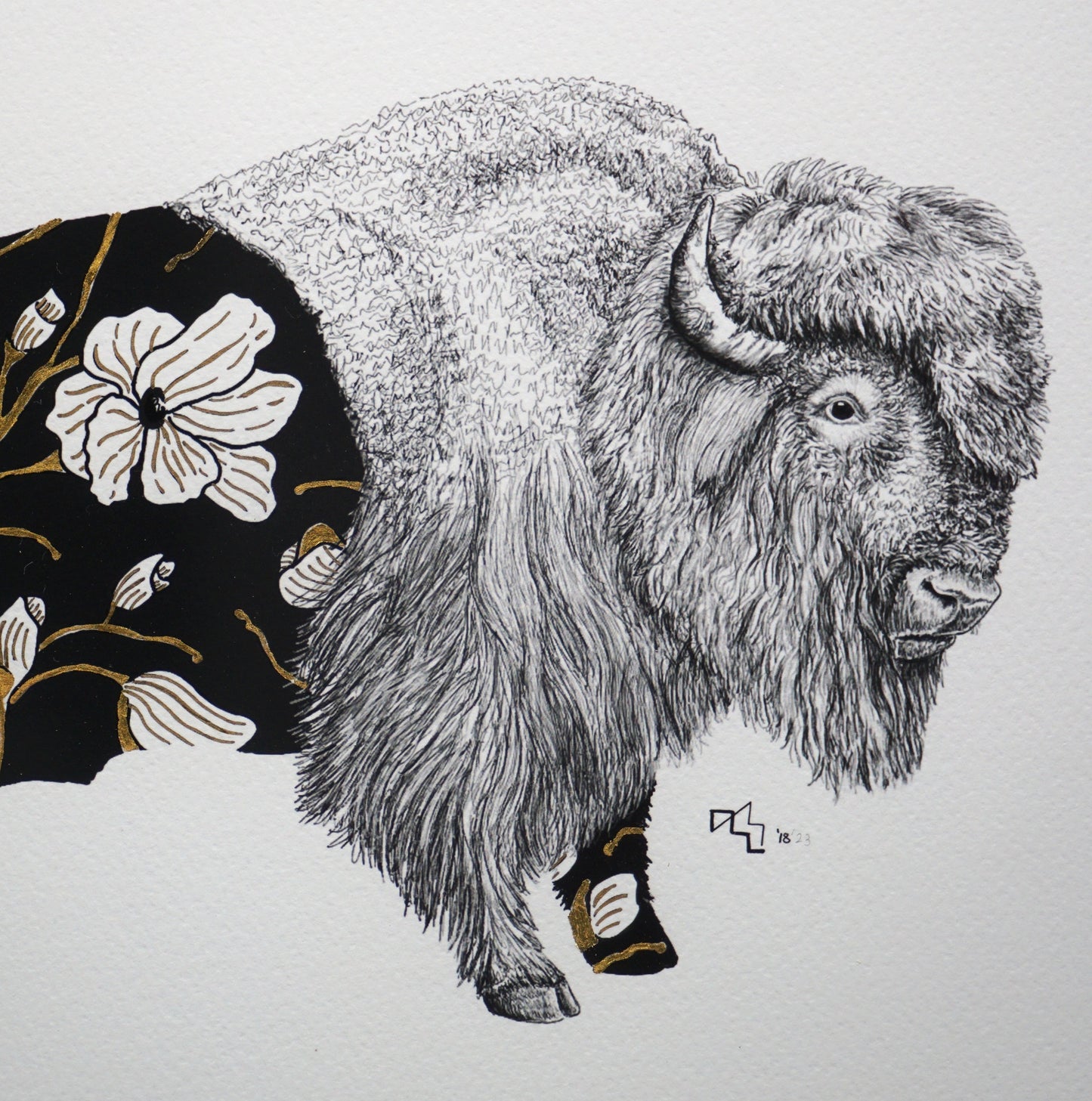 Wild Strings: Bison