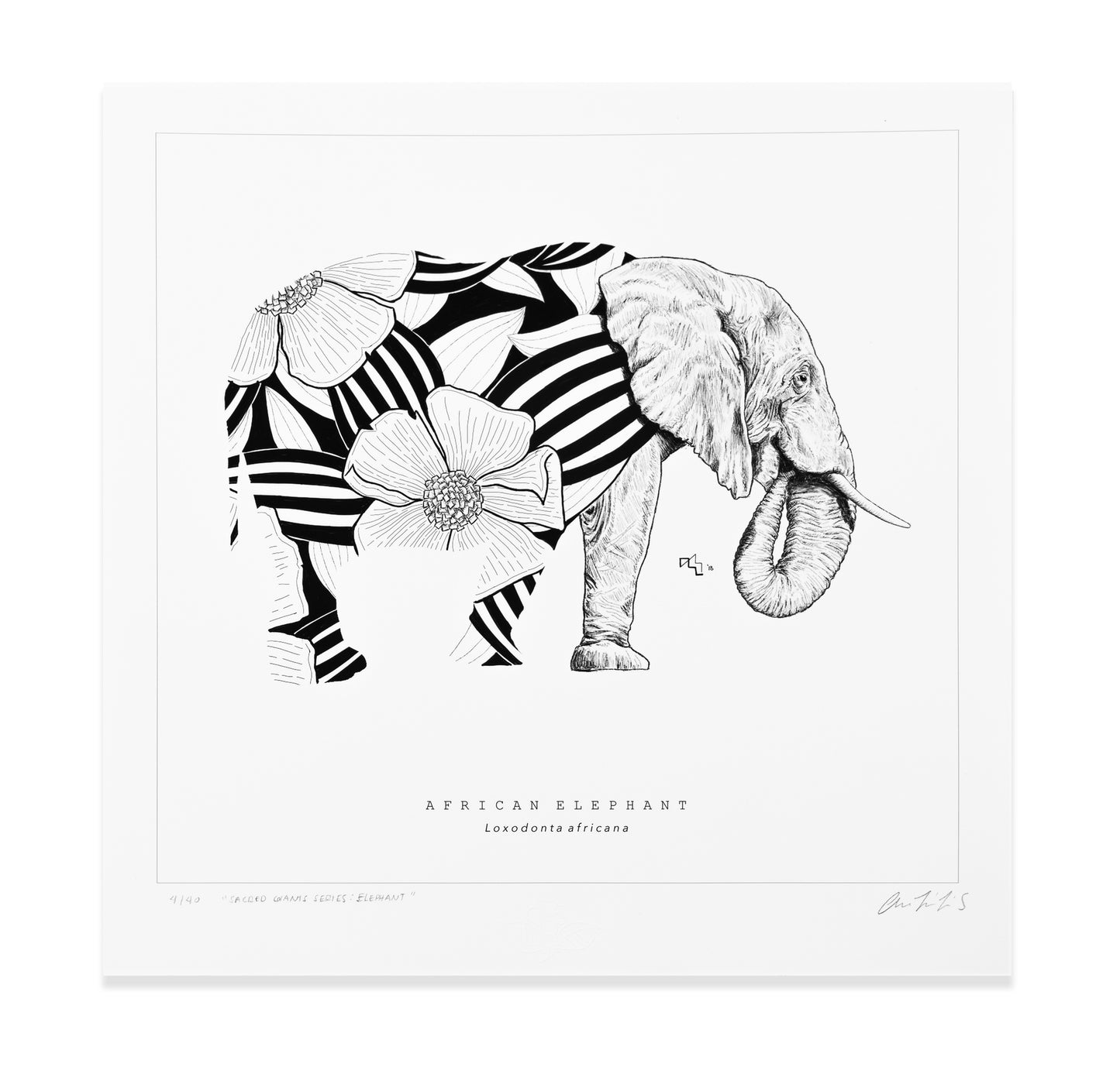 Sacred Giants: Elephant (print)
