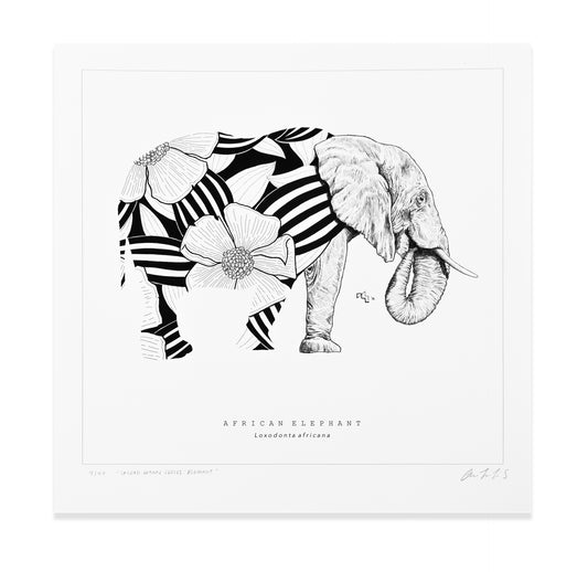 Sacred Giants: Elephant (print)