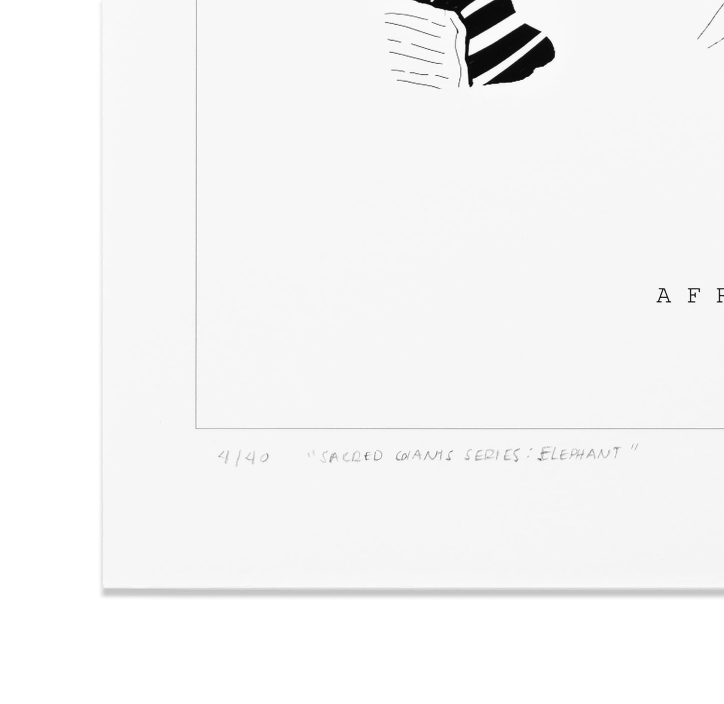 Sacred Giants: Elephant (print)