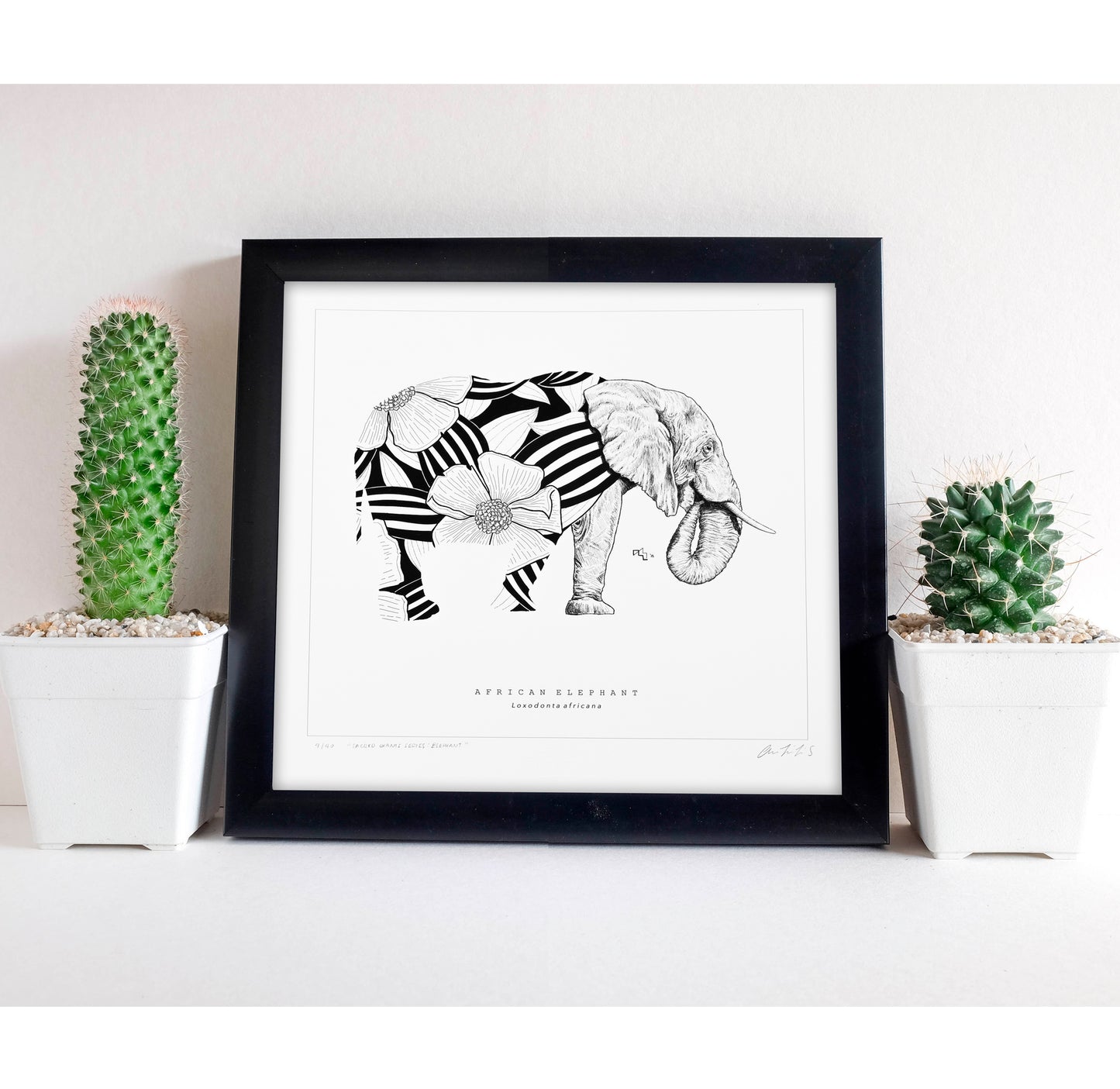 Sacred Giants: Elephant (print)
