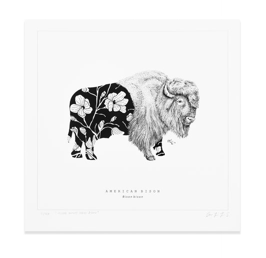 Sacred Giants: Bison (print)