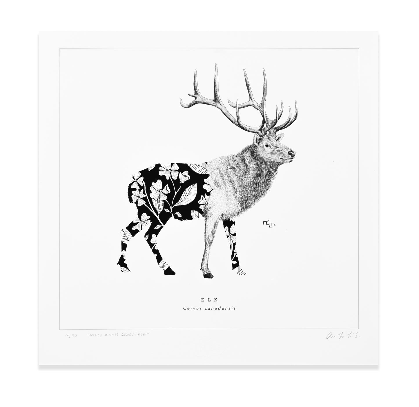 Sacred Giants: Elk (print)