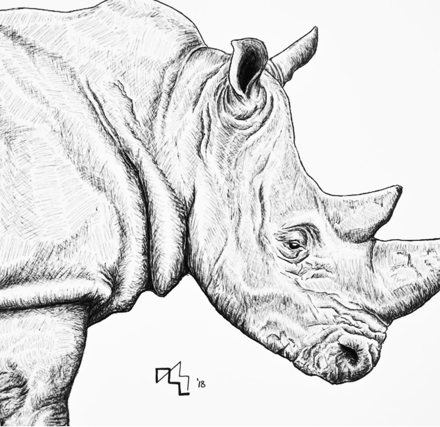 Sacred Giants: Rhinoceros (print)