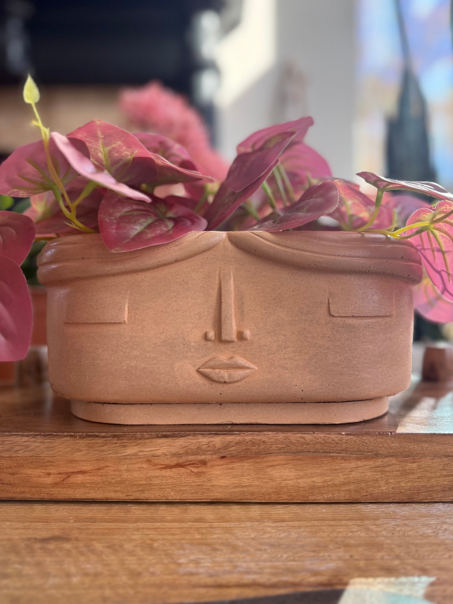 The Ana Planter