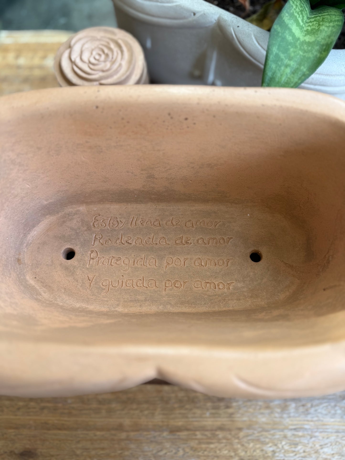 The Ana Planter
