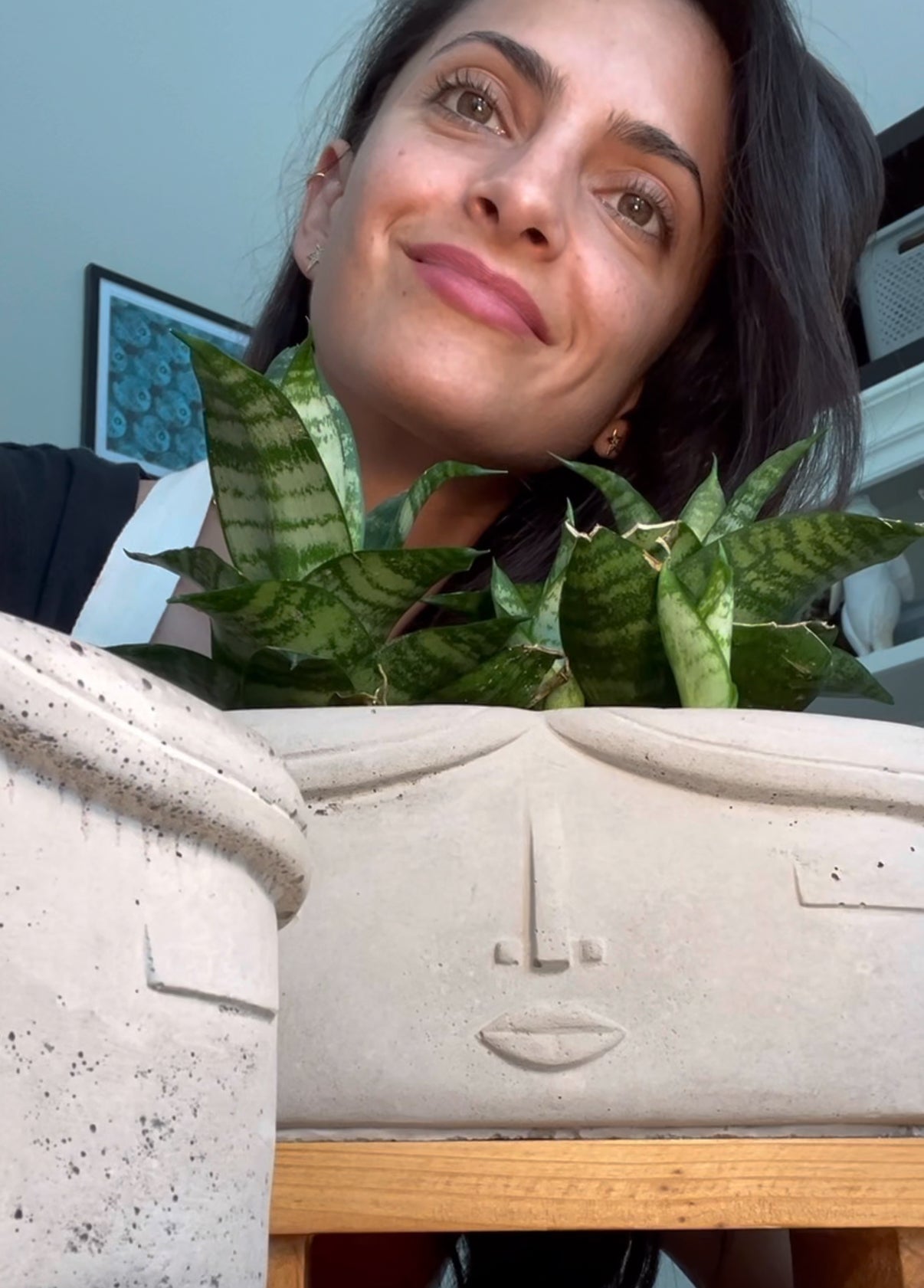 The Ana Planter